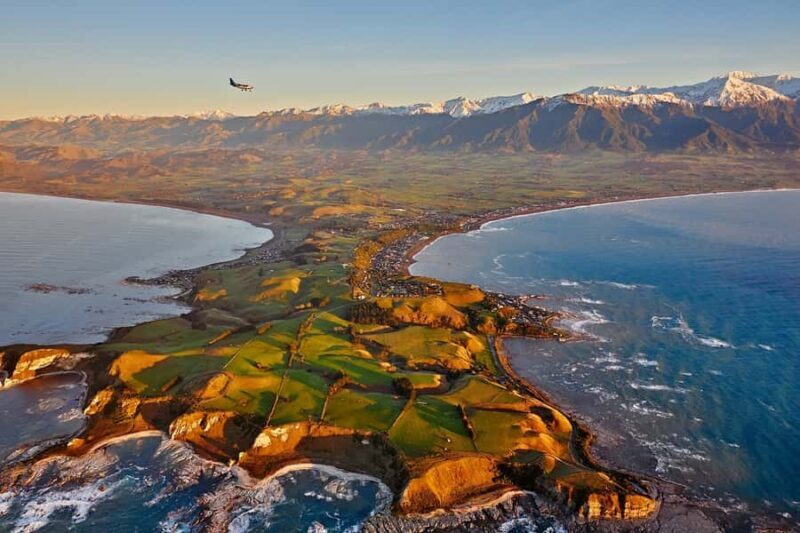 Kaikoura: Whale Watching Flight with Guided Commentary - FAQ