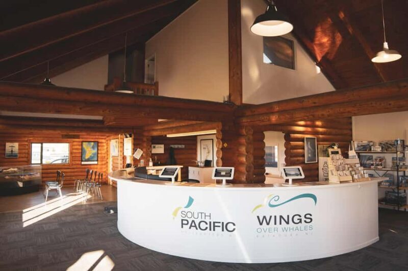 Kaikoura: Whale Watching Flight with Guided Commentary - Final Thoughts