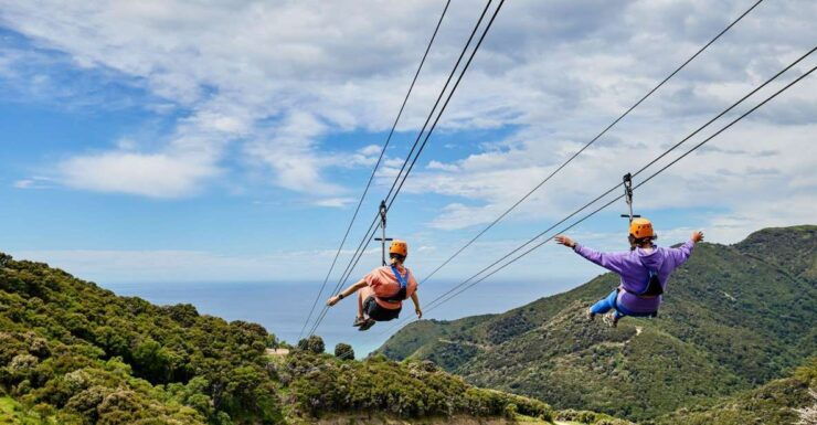 Kaikōura: Zipline and Native Forest Adventure Trip - Activity Details