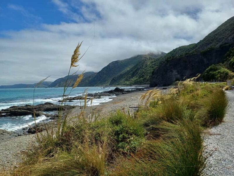 Kaikura: Small Group Tour- optional Whale, Dolphin, Zipline - Good To Know