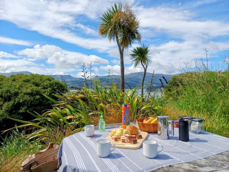 Kaikura: Small Group Tour- optional Whale, Dolphin, Zipline - Who Is This Tour Best For?