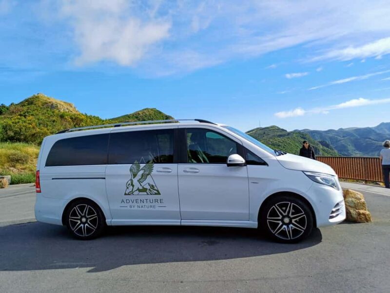 Kaikura: Small Group Tour- optional Whale, Dolphin, Zipline - The Sum Up