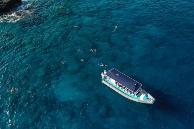 Kailua-Kona: Big Island Morning Snorkeling Tour With Lunch - Inclusions and Restrictions