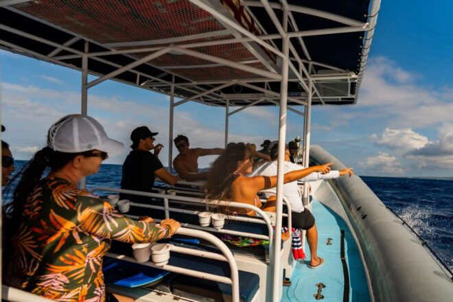 Kailua-Kona: Big Island Morning Snorkeling Tour With Lunch - Date, Meeting Point, and Important Information