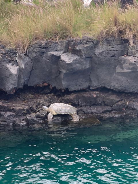Kailua-Kona: Captain Cook Reef Catamaran Day Trip With Lunch - Activity Details and Booking Information