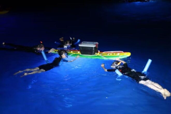 Kailua-Kona: Manta Ray Night Snorkel With Wetsuit - Snorkeling With Manta Rays