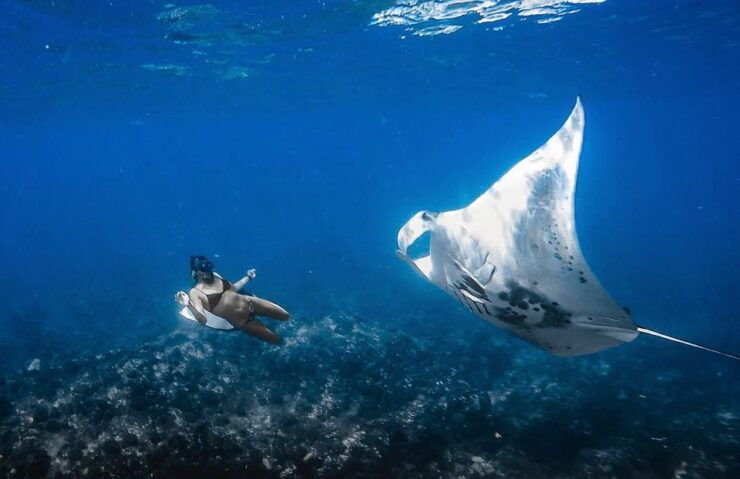 Kailua-Kona: Manta Ray Snorkeling With Hot Cocoa - Pickup and Meeting Point