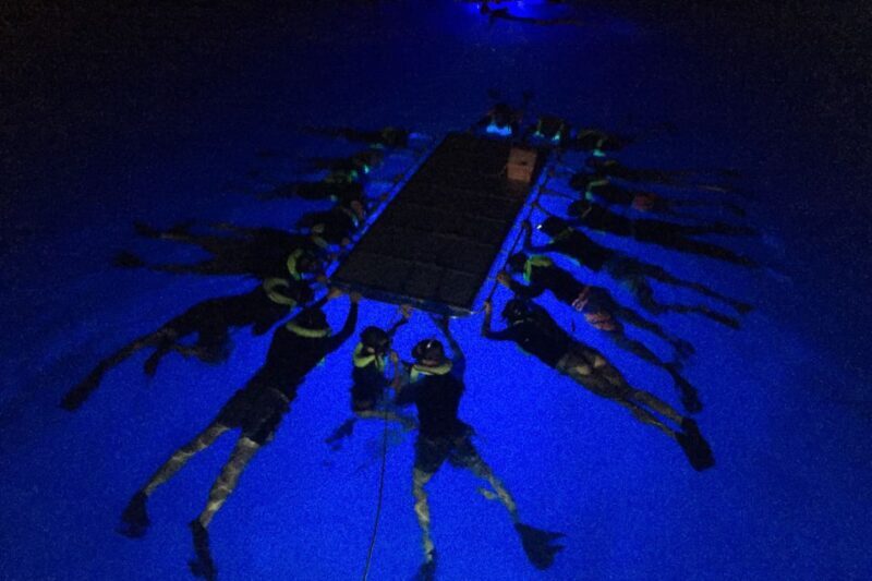 Kailua Kona: Night Manta Ray Adventure on the Big Island - Kailua Kona: Night Manta Ray Adventure on the Big Island