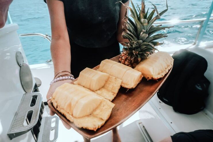 Kailua-Kona: Speedboat Snorkel Cruise and BBQ on the Boat - Location and Meeting Point