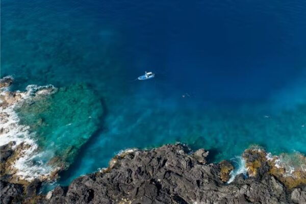 Kailua-Kona: Speedboat Snorkel Cruise and BBQ on the Boat - On-Board BBQ and Refreshments