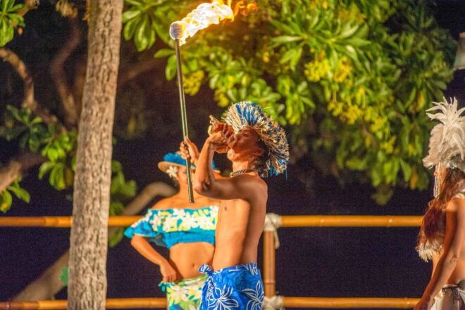 Kailua-Kona: Voyagers of the Pacific Luau With Buffet Dinner - Complimentary Cocktails and Standard Drink Selections