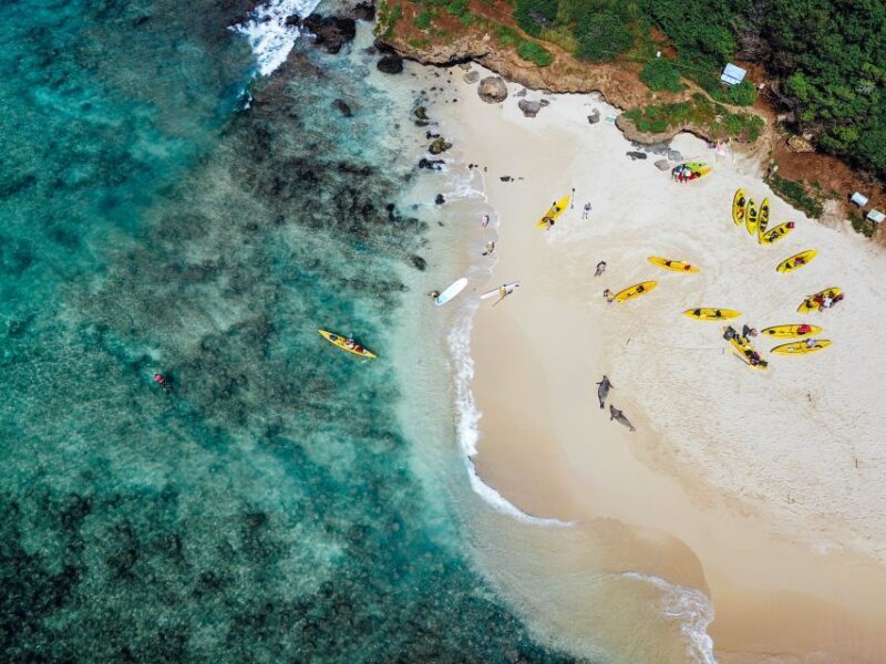 Kailua: Mokulua Islands Guided Kayak and Snorkeling Tour - Practical Details and Value
