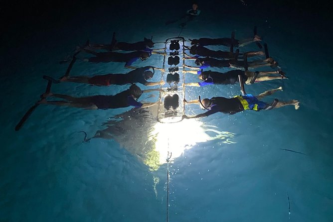 Kailua Night Manta Ray Cruise and Snorkel Experience  - Big Island of Hawaii - Cancellation Policy