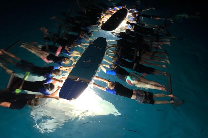 Kailua Night Manta Ray Cruise and Snorkel Experience  - Big Island of Hawaii - Traveler Photos