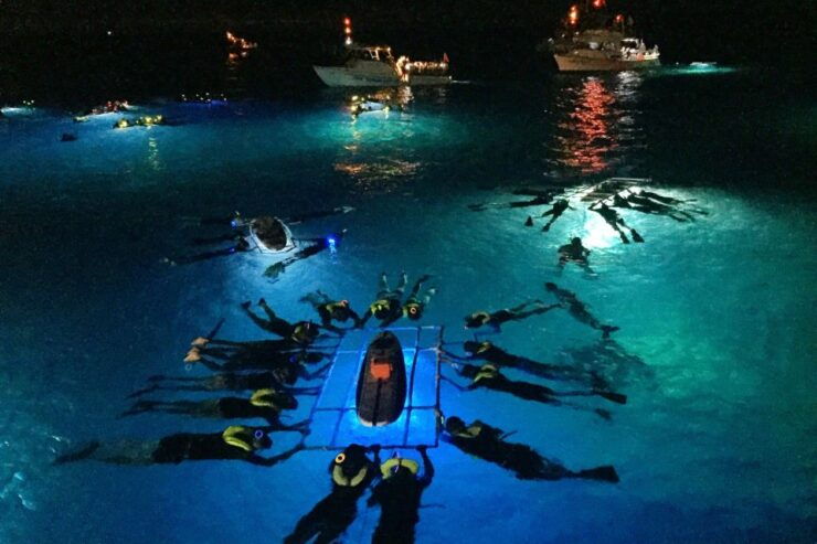 Kailua: Nighttime Manta Ray Cruise With Snorkeling Option - Activity Details