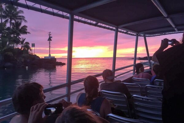 Kailua: Nighttime Manta Ray Cruise With Snorkeling Option - Additional Suggestions or Related Activities