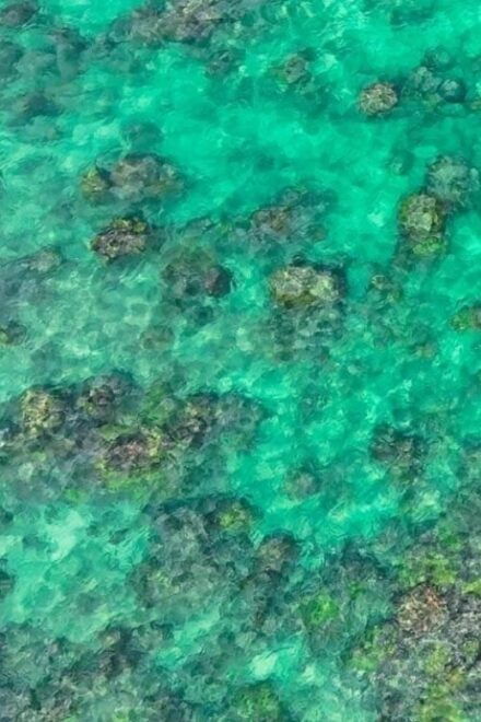 Kailua, Oahu: Guided E-Bike & Kayak Tour to Mokulua Islands - Group Size and Language