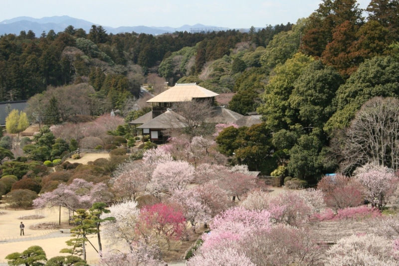 Kairakuen Main Garden Admission Ticket (Ibaraki) - A garden designed for people to share