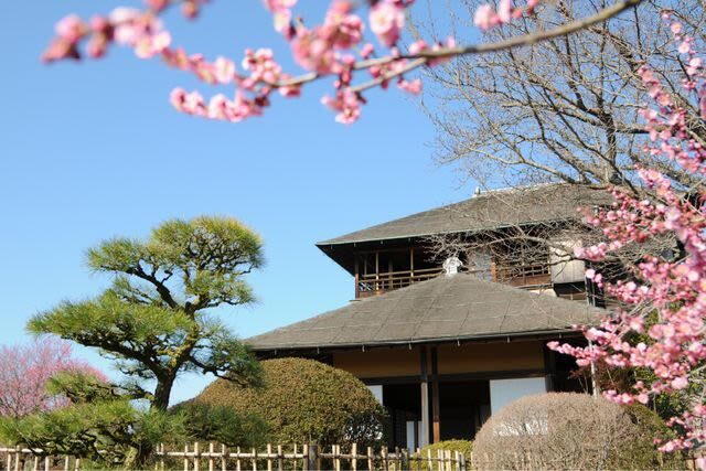 Kairakuen Main Garden Admission Ticket (Ibaraki) - The ticket’s value depends on what you choose