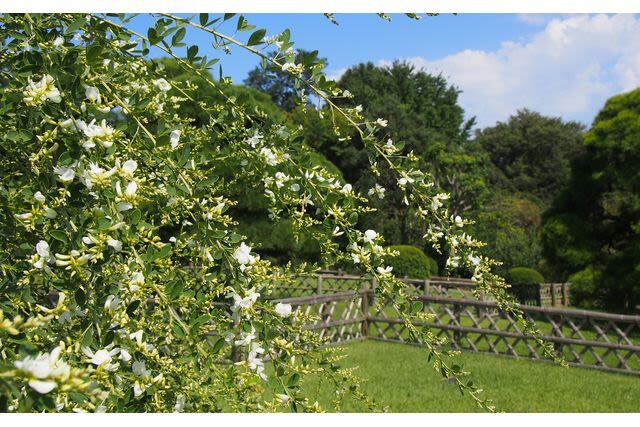 Kairakuen Main Garden Admission Ticket (Ibaraki) - Getting to the garden from Mito Station