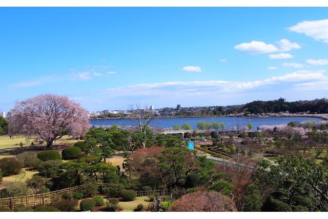 Kairakuen Main Garden Admission Ticket (Ibaraki) - Who should make time for Kairakuen?