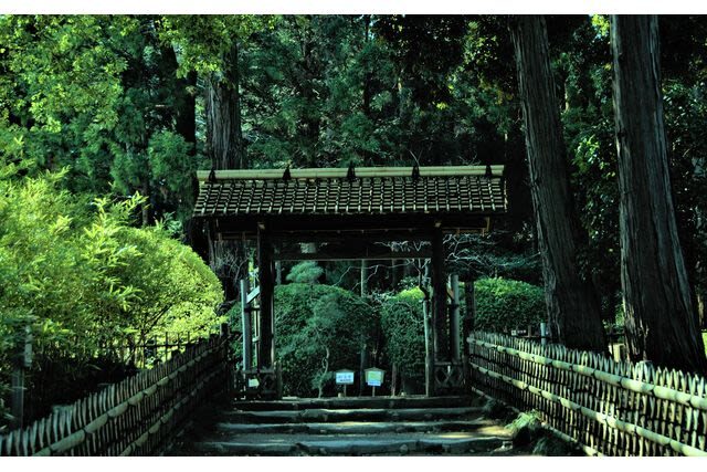 Kairakuen Main Garden Admission Ticket (Ibaraki) - Should you book this ticket?