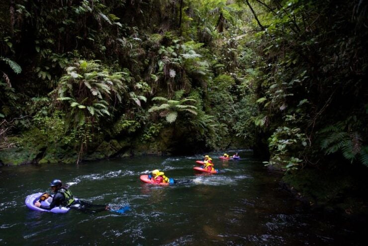 Kaituna River: 3.5-Hour White Water Sledging Experience - Experience Highlights