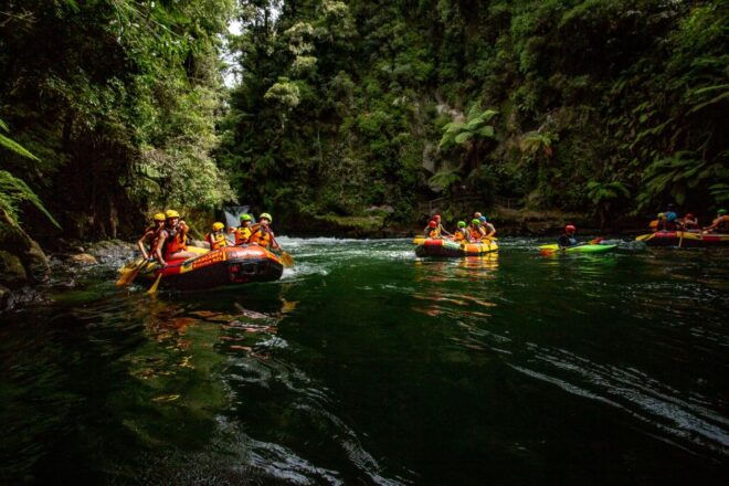 Kaituna River and Tutea Falls Whitewater Rafting - Related Activities