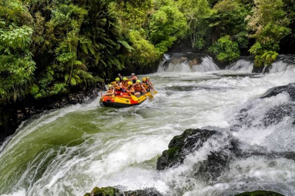 Kaituna River and Tutea Falls Whitewater Rafting - The Sum Up