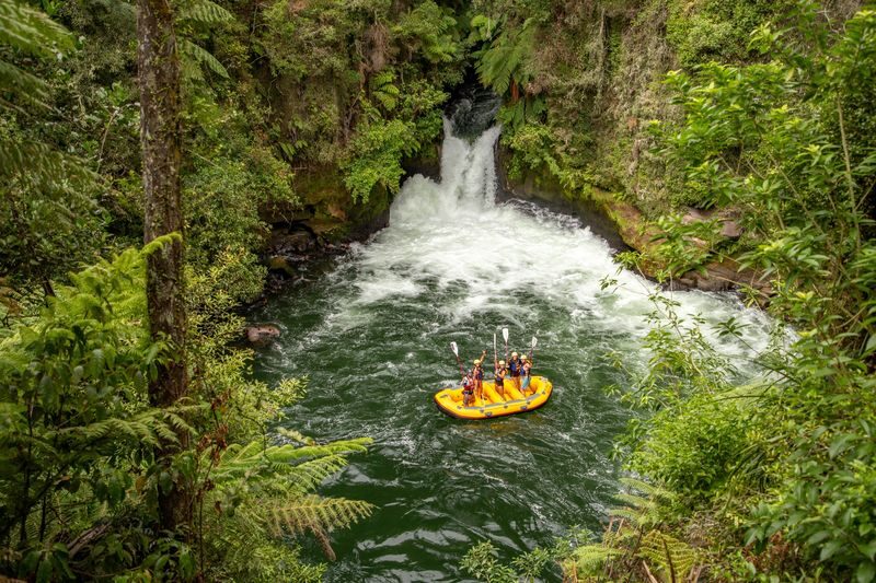 Kaituna Whitewater Rafting Experience - Price and what you get for it