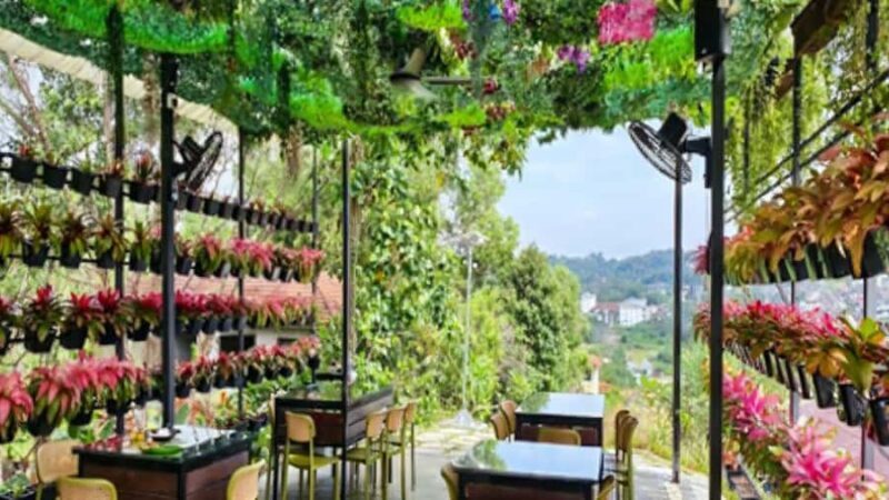 Kajang: Sak Dato Temple, EcoHill Park & Pineapple Farm Tour - Good To Know