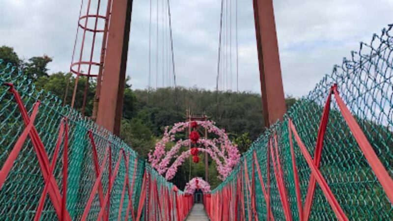 Kajang: Sak Dato Temple, EcoHill Park & Pineapple Farm Tour - Who Would Love This Tour?