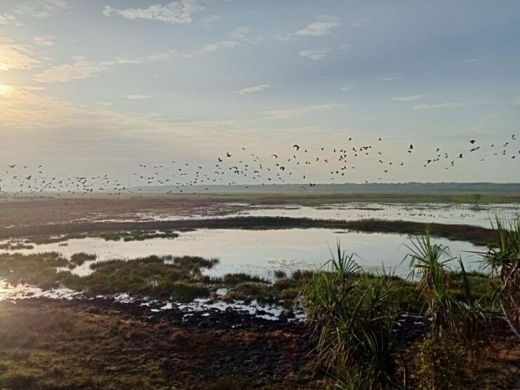 Kakadu-2 Day Tour. Jim Jim Falls Maguk Nourlangie Ubirr - Tour Highlights