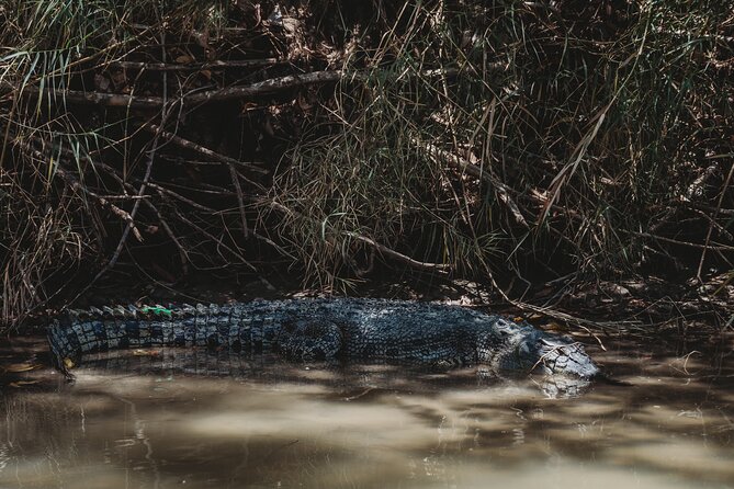 Kakadu Day Tour From Darwin With Offroad Dreaming - Tour Information