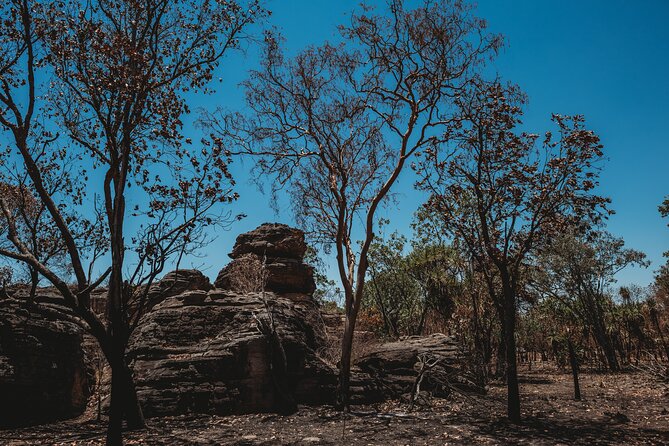 Kakadu Day Tour From Darwin With Offroad Dreaming - The Sum Up