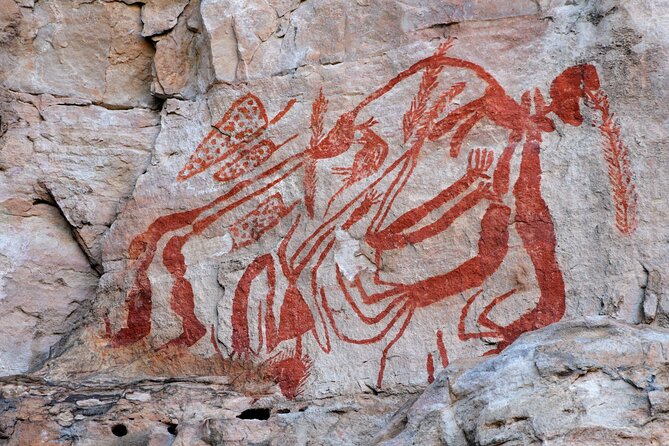Kakadu National Park Cultural Experience - Unique Flora and Fauna