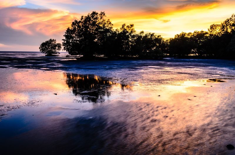 Kakadu National Park Day Tour and Cruise from Darwin - Yellow Water, the day’s wildlife highlight