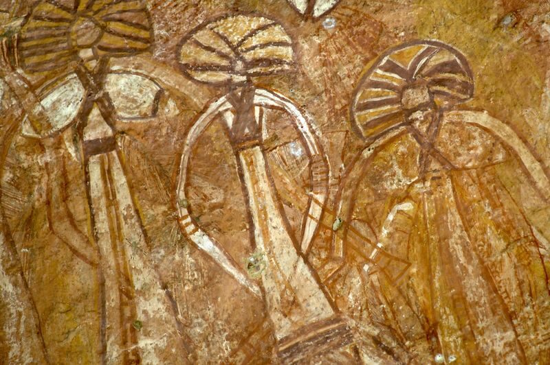 Kakadu National Park Day Tour and Cruise from Darwin - Coach comfort, guide commentary, and pace