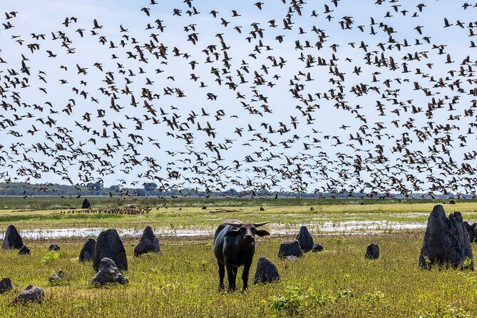 Kakadu National Park Evening Tour + Yellow Water Sunset Cruise - What Makes This Tour Shine