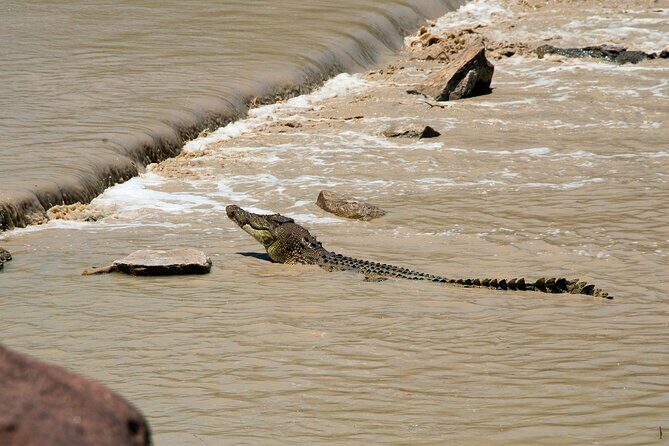 Kakadu National Park Full Day Tour + 2 Hour Cultural River Cruise - An In-Depth Look at the Tour Experience