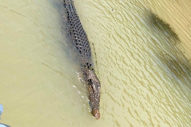 Kakadu National Park Scenic Flight &Yellow Water Cruise - Wildlife Encounters