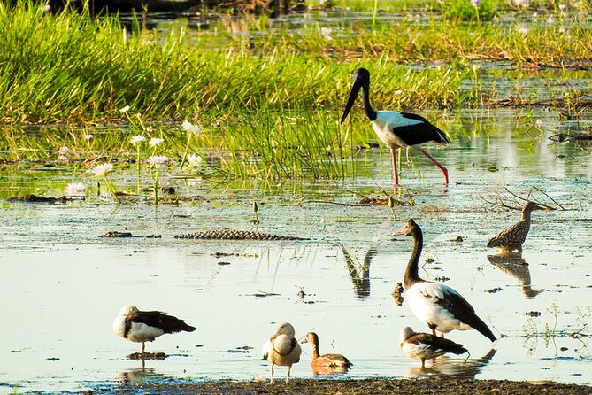 Kakadu National Park Tour in Australia With Lunch - Lunch Inclusion