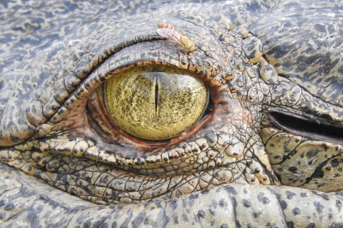 Kakadu National Park Tour in Australia With Lunch - Expert Guide
