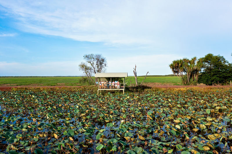 Kakadu National Park Tours & Activities - Rock art puts the country in context