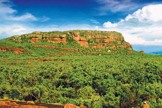 Kakadu, Nourlangie and Yellow Waters Tour From Darwin - What to Expect on the Tour