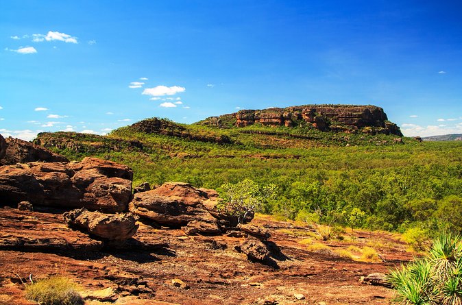 Kakadu, Nourlangie and Yellow Waters Tour From Darwin - The Sum Up