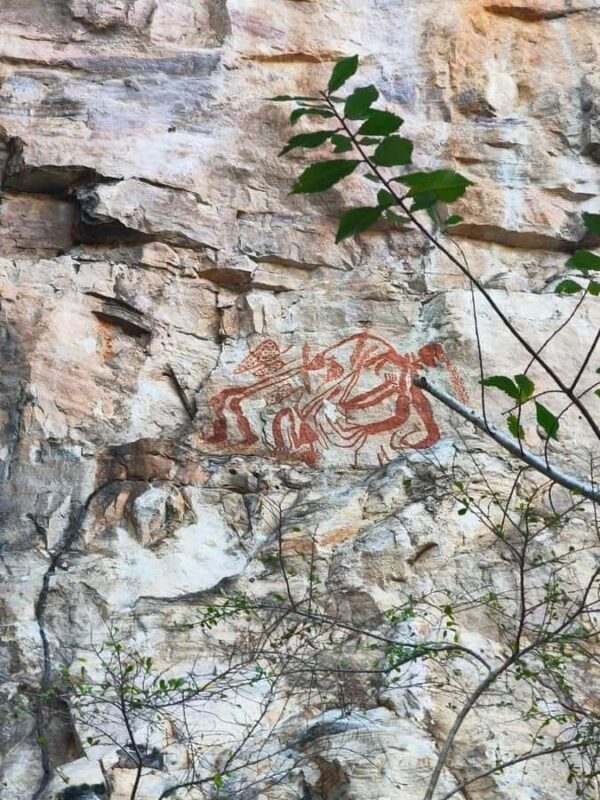 Kakadu: Private Wet Season Tour with Cruise & Helicopter - Good To Know