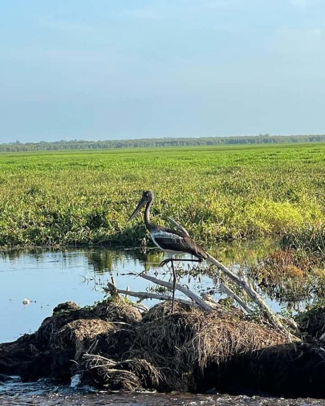 Kakadu VIP Backpackers - Final Thoughts