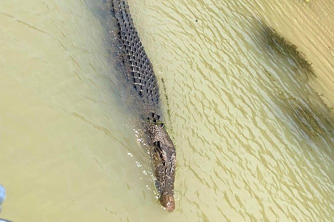 Kakadu Yellow Waters Cruise & Katherine Gorge Helicopter Scenic - Overview and Tour Details