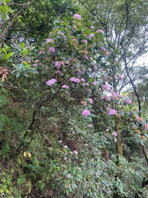 Kakani Day Hike - Hike Itinerary